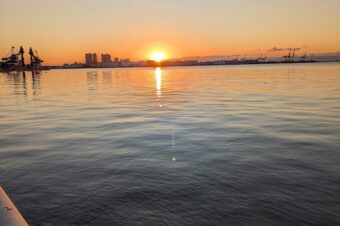 2026年もよろしくお願いいたします。