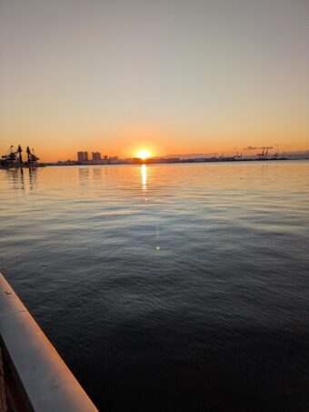 2026年もよろしくお願いいたします。